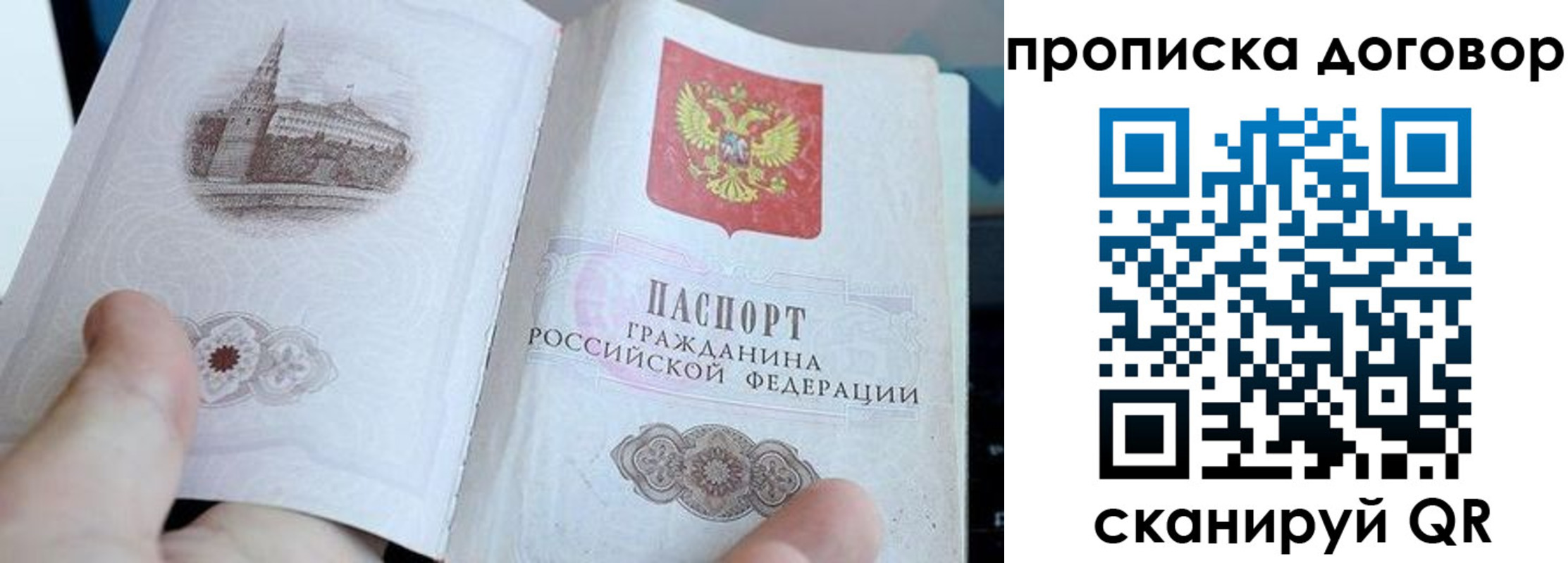 прописка в Невеле